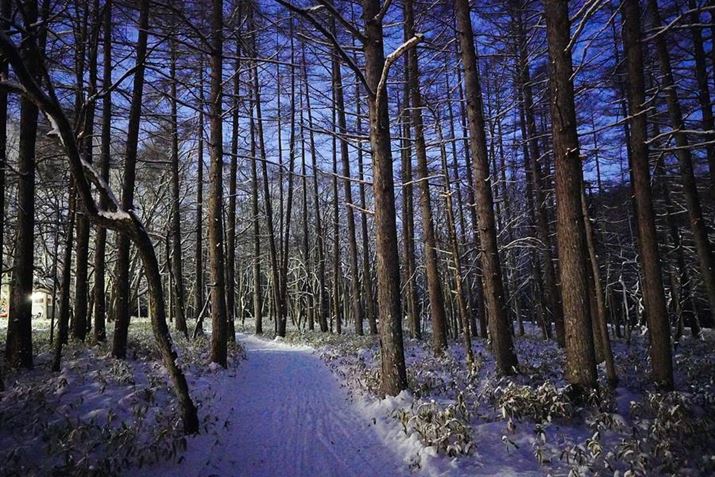 ȀoO̐X̏iXibvB{J̏px̏lłISO51200ŎBeĂ݂܂BR͏o܂ÅxōlƂ΂炵`ʗ͂ł7C IIAFE 24mm F2.8 GA24mmAF2.8A1/8bA+0.3EVAISO51200AzCgoXFzANGCeBubNFVV2