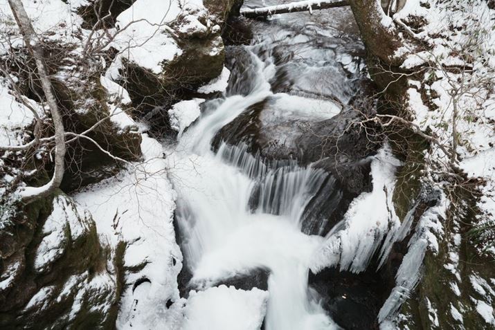 7C IIAFE 24mm F2.8 GA24mmAF16A1/4bA+0.3EVAISO100AzCgoXFܓVANGCeBubNFFL