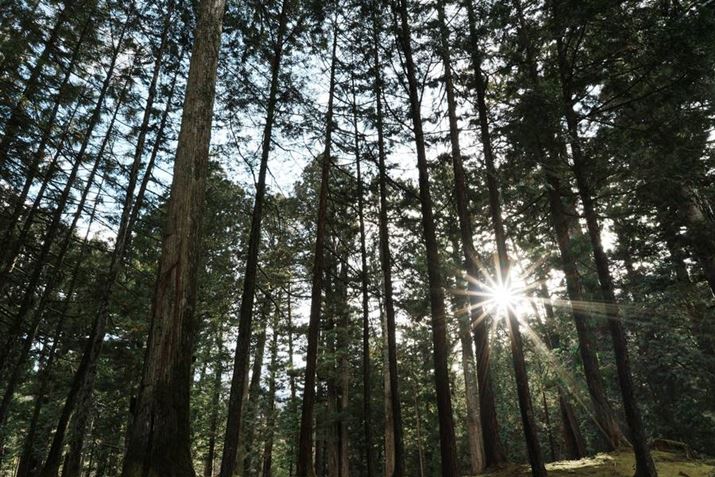 7C IIAFE 24mm F2.8 GA24mmAF16A1/40bAISO400AzCgoXFܓVANGCeBubNFFL