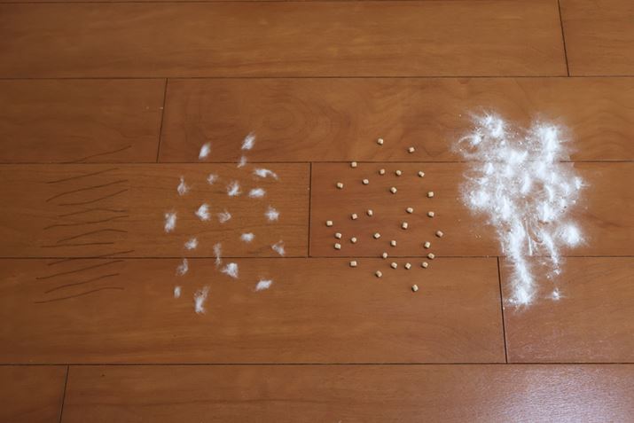 t[OɁAȎAȃS~AhCt[hAd܂ċz͂