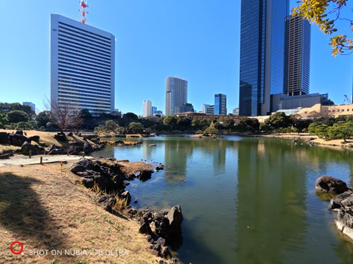 X}[gtHł͒œ_B̊KRō\}̋܂ŔɈ肵掿