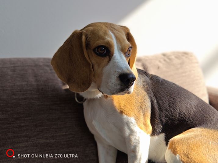 ňBBƉê܂ܕ`ʂA̓IɎBeł