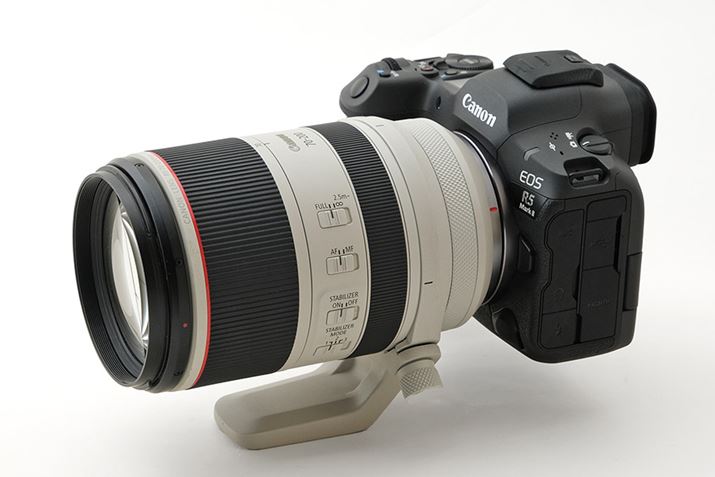 uRF70-200mm F2.8 L IS USMvuEOS R5 Mark IIvƑgݍ킹C[WBɃRpNgŃ~[XVXe̗_܂