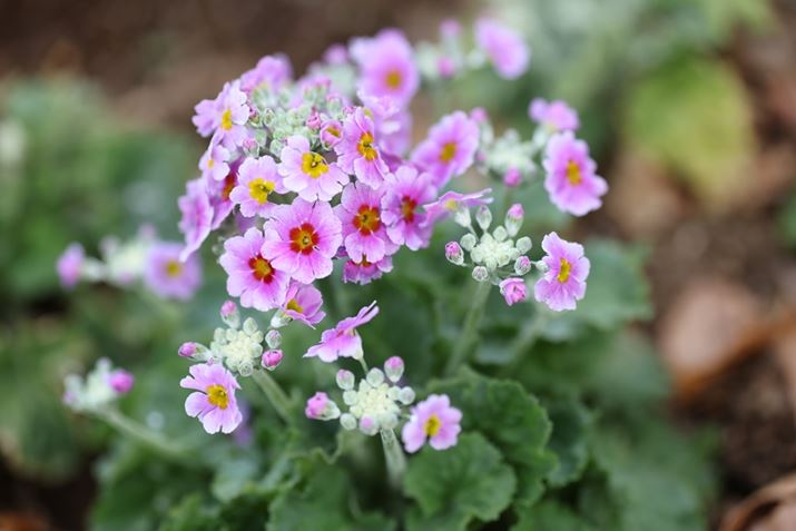 EOS R5 Mark IIARF70-200mm F2.8 L IS USM ZA70mmAF2.8A1/800bAISO400AzCgoXFI[gAsN`[X^CFX^_[hBeʐ^i8192×5464A12.1MBj