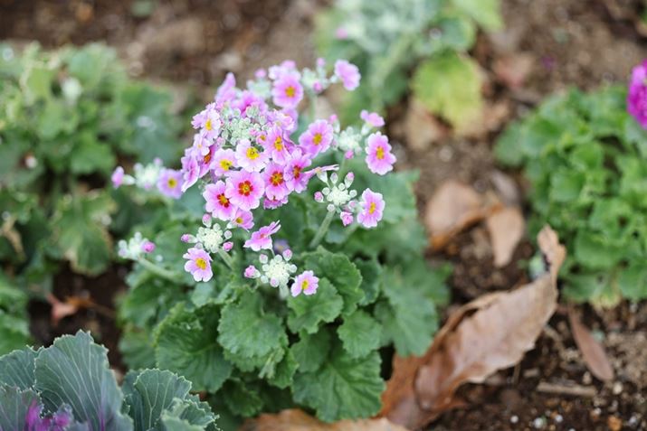 EOS R5 Mark IIARF70-200mm F2.8 L IS USMA70mmAF2.8A1/800bAISO400AzCgoXFI[gAsN`[X^CFX^_[hBeʐ^i8192×5464A12.1MBj