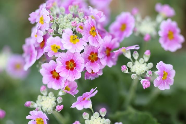 EOS R5 Mark IIARF70-200mm F2.8 L IS USM ZA200mmAF2.8A1/800bAISO400AzCgoXFI[gAsN`[X^CFX^_[hBeʐ^i8192×5464A12.1MBj