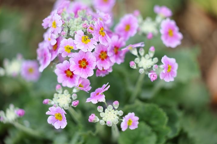 EOS R5 Mark IIARF70-200mm F2.8 L IS USMA200mmAF2.8A1/800bAISO400AzCgoXFI[gAsN`[X^CFX^_[hBeʐ^i8192×5464A12.4MBj