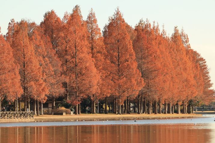 EOS R5 Mark IIARF70-200mm F2.8 L IS USM ZA280mmiuEXTENDER RF1.4×vgpjAF5.6A1/320bAISO100AzCgoXFI[gAsN`[X^CFX^_[hBeʐ^i8192×5464A27.5MBj