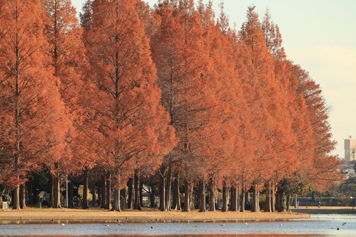 EOS R5 Mark IIARF70-200mm F2.8 L IS USM ZA400mmiuEXTENDER RF1.4×vgpjAF5.6A1/320bAISO100AzCgoXFI[gAsN`[X^CFX^_[hBeʐ^i8192×5464A35.1MBj