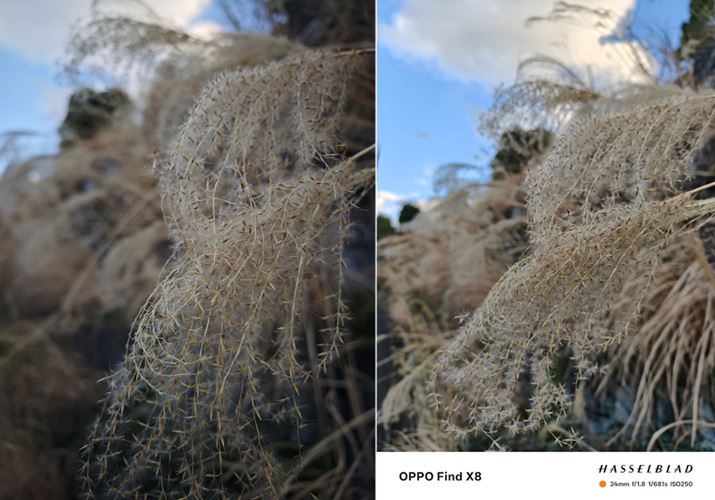 XXL̖ȖтBeB傫ɗhȂ̎BełAǂfBeB[̓nbLƂ炦Ăۂł