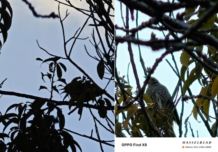 ]ifW^Y[pjŁA؂̏ɂBeBʑ̂䂦ɎBepx{قȂ̂ŌȔrł͂܂񂪁A͈͂ƁuOPPO Find X8viEĵق邭F킸ɎBۂł