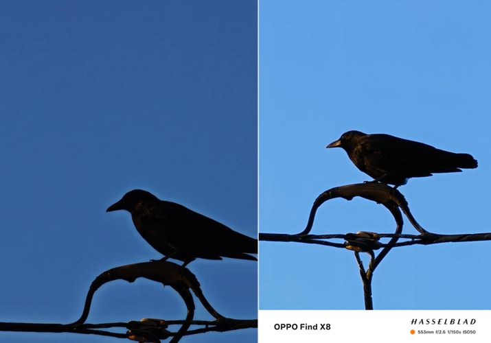 d̏Ɏ~܂JXɃY[BuXiaomi 14 Ultravijł́AJXׂĂ܂܂AuOPPO Find X8viEjł̓JX̕\fĂ܂B炭AIɂ⏕̌ʂ̂ŁA߂邩܂񂪁A핗iŊyޕɂ́uOPPO Find X8v̊yۗł