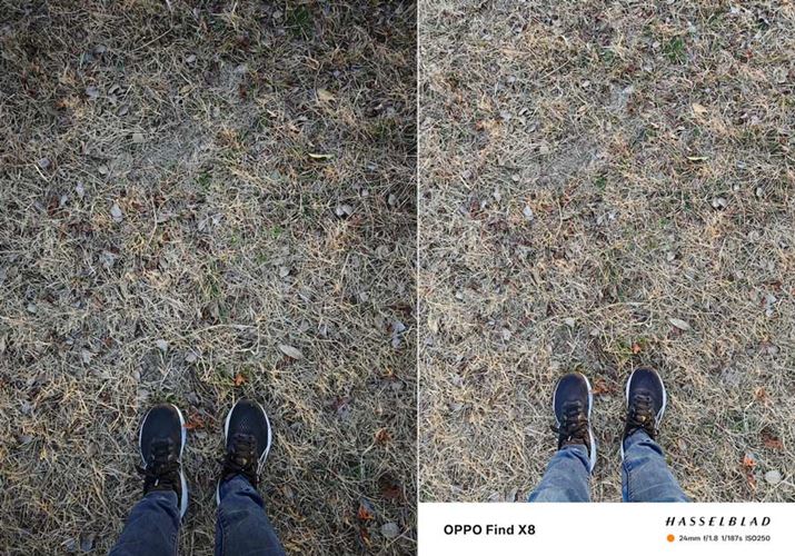 ̎ŐBeBuXiaomi 14 Ultravij́uLeicaI[ZeBbNv͋̕CƁA邭BuOPPO Find X8viEjŁAdオ͋̕Cɍo܂