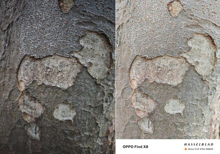 ؂̊BeBuXiaomi 14 UltraviĵقdŊiDBuOPPO Find X8viEj͌y₩Ȏdオł