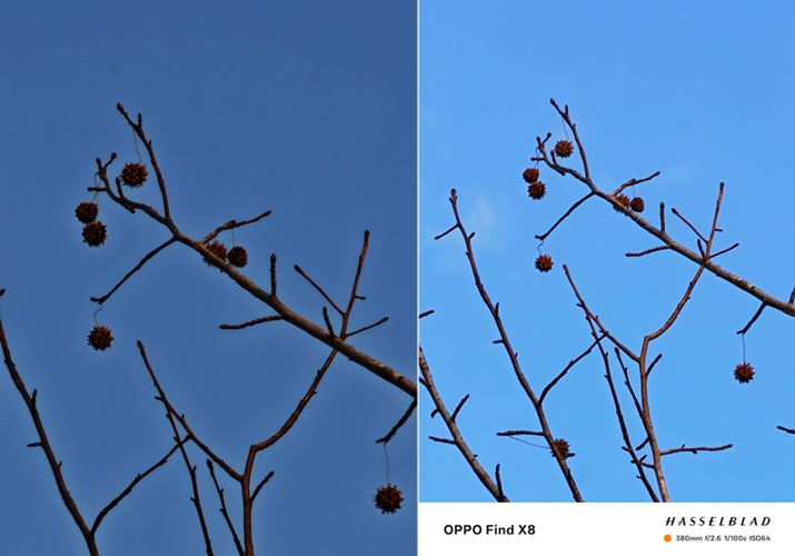 ꏊɐLт؂̎}{Y[ŎBeBuXiaomi 14 Ultravijł́A֊sɔoĂ܂Ă܂AuOPPO Find X8viEjł͂ꂪ܂