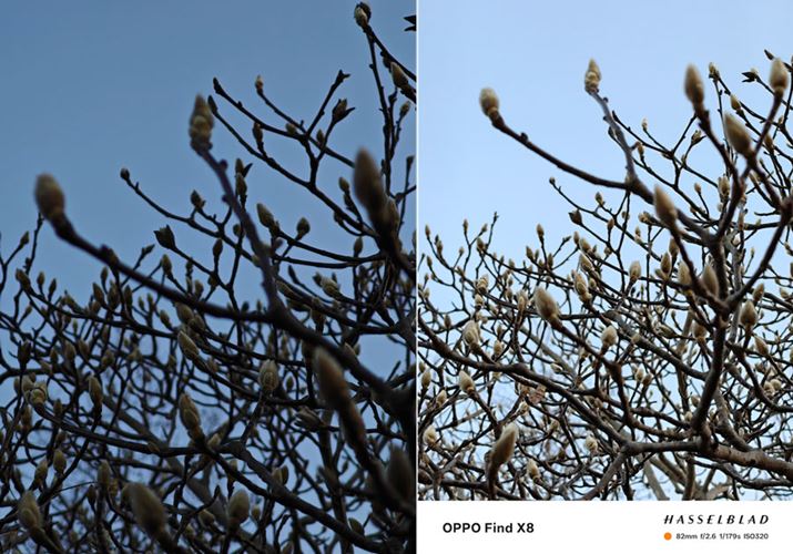 Y[Ăڂ݂BeBs̃oʑ̂łAǂꂢɎBĂ܂