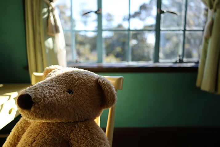 EOS R5 Mark IIARF24mm F1.4 L VCMAF1.4A1/1250bAISO100AzCgoXFzAsN`[X^CFX^_[hBeʐ^i8192×5464A12.5MBj