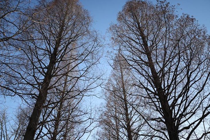 EOS R5 Mark IIARF35mm F1.4 L VCMAF1.4A1/6400bAISO100AzCgoXFI[gi͋CDjAsN`[X^CFX^_[hBeʐ^i8192×5464A38.3MBj