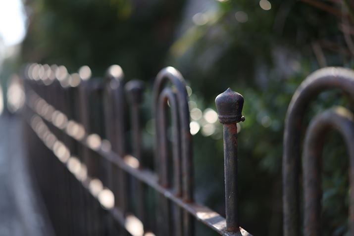 EOS R5 Mark IIARF50mm F1.4 L VCMAF1.4A1/1250bAISO100AzCgoXFI[gi͋CDjAsN`[X^CFX^_[hBeʐ^i8192×5464A12.6MBj