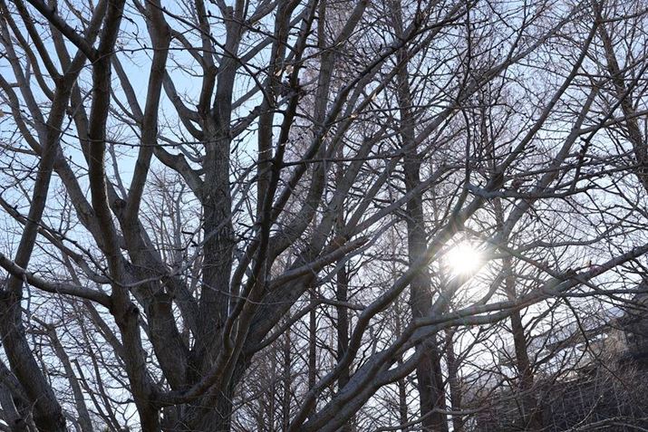 EOS R5 Mark IIARF35mm F1.4 L VCMAF11A1/50bAISO100AzCgoXFI[gi͋CDjAsN`[X^CFX^_[hBeʐ^i8192×5464A36.8MBj