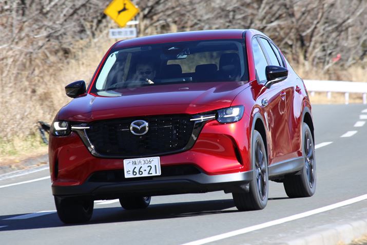 fB[[ĺuSPv́AP͊ꂽ̂́Ał܂dcSn