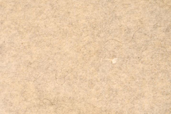 J[ybgł́uNEO II{v̌؁BdhCt[h菜łۂAȎ̎cڗʂ