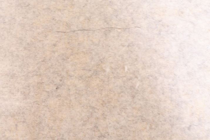 Ȏ̎ćuNEO II{v菭ȂۂŁAd̓J[ybg̑@ۂ̉ɂƎcBhCt[h́A~ɑ|@グƁAwbh̉ɑcĂ܂