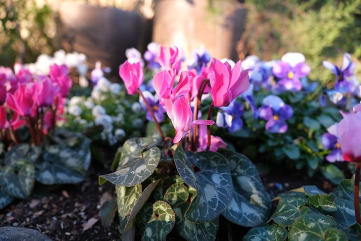 X-T5AXF16-55mmF2.8 R LM WR IIA16mmi35mmZ24mmjAF2.8A1/220bAISO400AzCgoXFI[gAtBV~[VFPROVIA/X^_[hBeʐ^i7728×5152A18.0MBj