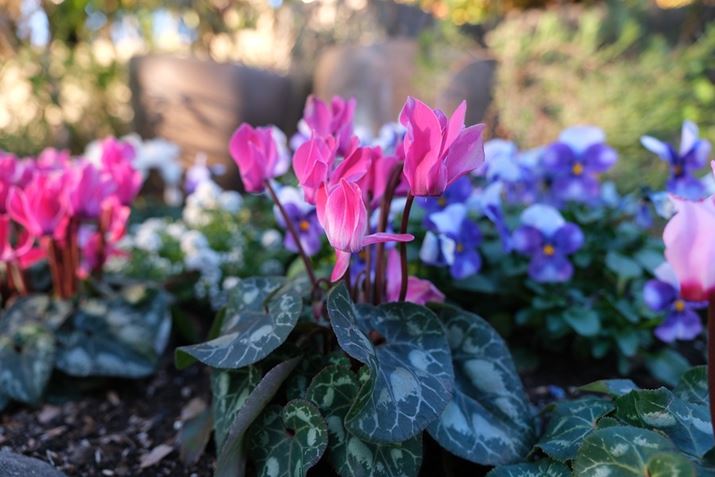 X-T5AXF16-55mmF2.8 R LM WRA16mmi35mmZ24mmjAF2.8A1/170bAISO400AzCgoXFI[gAtBV~[VFPROVIA/X^_[hBeʐ^i7728×5152A17.8MBj