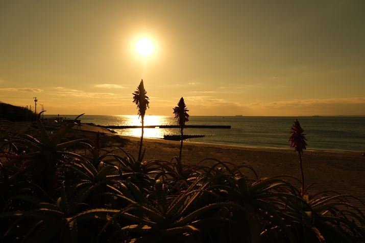 X-T5AXF16-55mmF2.8 R LM WR IIA16mmi35mmZ24mmjAF5.6A1/2400bAISO125AzCgoXF10000KAtBV~[VFPROVIA/X^_[hBeʐ^i7728×5152A16.0MBj