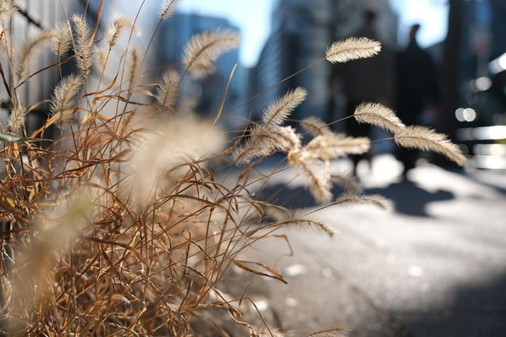 X-T5AXF16-55mmF2.8 R LM WR IIA22.6mmi35mmZ34mmjAF2.8A1/1100bAISO125AzCgoXFAtBV~[VFPROVIA/X^_[hBeʐ^i7728×5152A17.9MBj