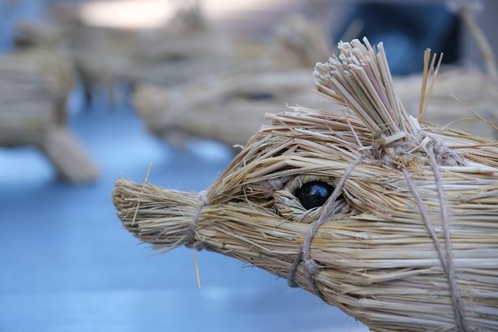 X-T5AXF16-55mmF2.8 R LM WR IIA55mmi35mmZ84mmjAF2.8A1/250bAISO400AzCgoXFI[gAtBV~[VFPROVIA/X^_[hBeʐ^i7728×5152A18.6MBj