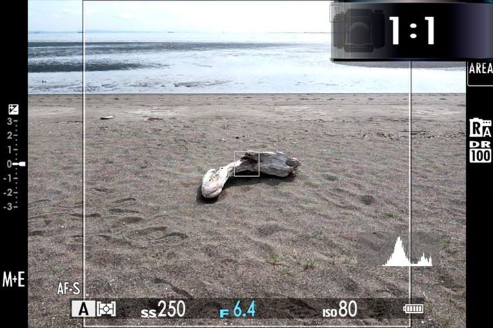 L^͈͂Cŕ\郂[hɂāAAXyNg1F1IƂ̎BeʁBufW^eR؊o[v𑀍삵Ƃ́AʉEɁAAXyNgƂƂɁÃAXyNgzNJ̃C[W\