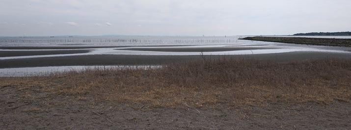 GFX100RFA35mmi35mmZ28mmjAF11A1/140bAISO80A-0.3EVAzCgoXFI[gAtBV~[VFREALA ACEAOCEGtFNgFx-/x-AAXyNg65F24AJPEGBeʐ^i11648×4304A32.3MBj