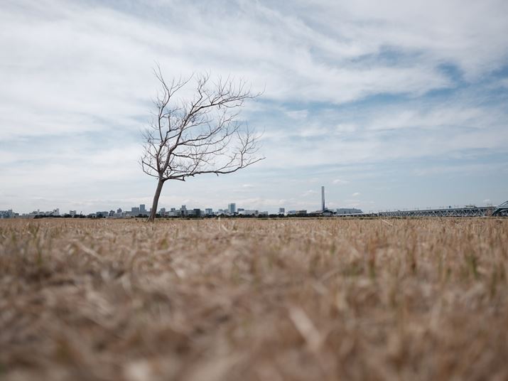 GFX100RFA35mmi35mmZ28mmjAF4A1/750bAISO80A+1.0EVAzCgoXFI[gi͋CDjAtBV~[VFNVbNN[AJPEGBeʐ^i11648×8736A38.4MBj