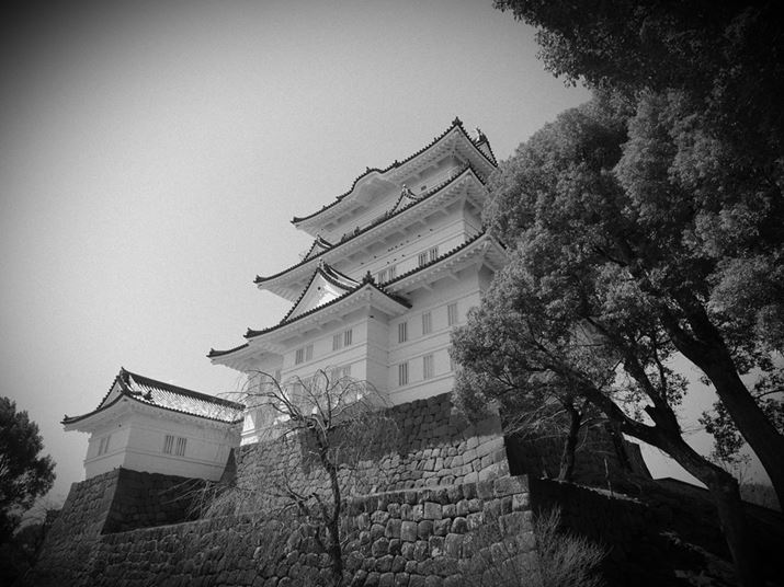 ł̓mNŏcBtbgł炩dオɂ悤ƁAł́umNvt@CRg[vŁuMONO4vIBuMONO4v̓RgXg}A炩ۂɎdグĂ̂BtB^[ʂ́AۂɃCur[Ōʂ𔽉fȂD݂̔ZxT܂B󊴂VF[fBOʂA͋ĈdオڎwĂ܂OM-3AM.ZUIKO DIGITAL ED12-45mm F4.0 PROA12mmi35mmZ24mmjAF4A1/1600bAISO200AzCgoXFVAdオݒFMONO4itB^[ʁFG3AVF[fBOʁF-1AtBʁFARgXgF+1j