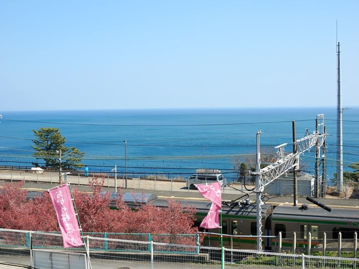 CƓdԂƗtƂ̂ڂBt͑S̓IɃsNFŁAڂɂ̓MM炢Ă悤ɌHOM-3AM.ZUIKO DIGITAL 25mm F1.8 IIA25mmi35mmZ50mmjAF7.1A1/500bAISO200A+0.3EVAzCgoXFܓVAdオݒFCOLOR2inCCgF+3AVhEF-3ARgXgF-1j