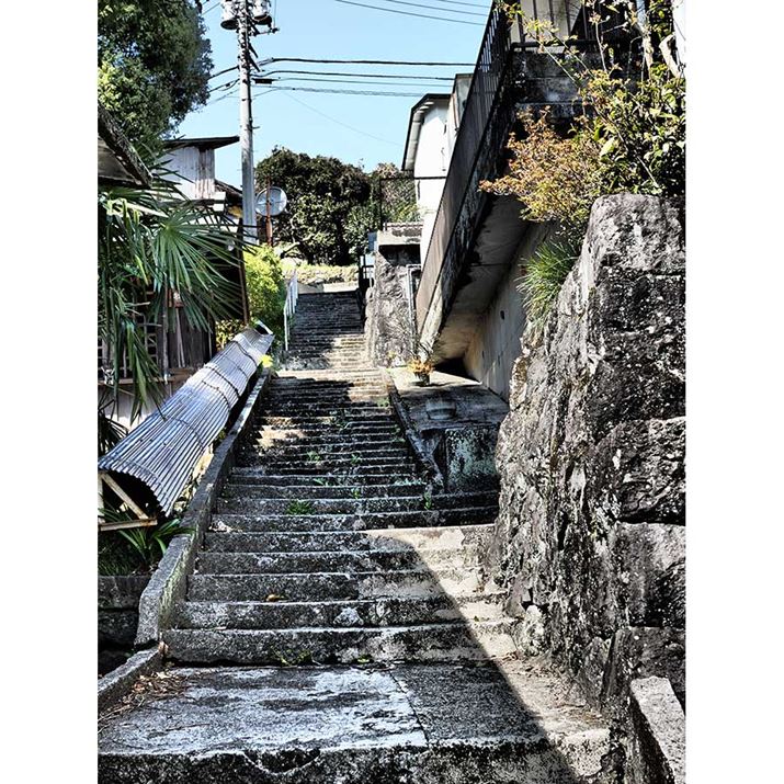 A[gtB^[́uh}`bNg[vKpBHn̕iɎ܂OM-3AM.ZUIKO DIGITAL 25mm F1.8 IIA25mmi35mmZ50mmjAF5A1/250bAISO200AzCgoXFVAdオݒFh}`bNg[I