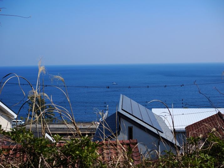 オĂƁAEJAYȊCC悭Ă܂OM-3AM.ZUIKO DIGITAL 25mm F1.8 IIA25mmi35mmZ50mmjAF4A1/3200bAISO200A-0.3EVAzCgoXFVAdオݒFCOLOR2inCCgF+3AVhEF-3ARgXgF-1j