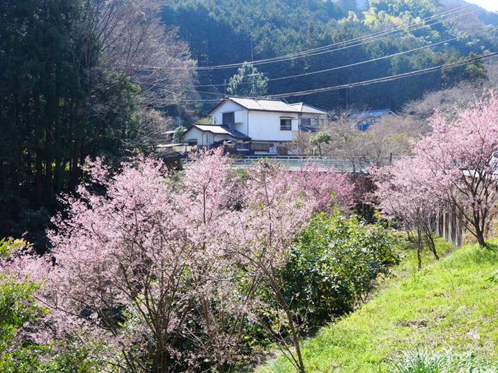 ՂՂオĕĂƁAĂ܂I ̂ق͂܂炢ĂcĂ悤łOM-3AM.ZUIKO DIGITAL ED 12-45mm F4.0 PROA20mmi35mmZ40mmjAF5.6A1/250bAISO200A+0.7EVAzCgoXFVAdオݒFCOLOR2inCCgF+3AVhEF-3ARgXgF-1j