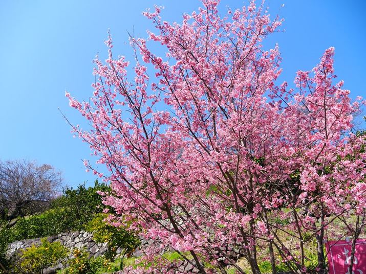 Ԍn̍ʓx߂ɐݒBN₩ȐFɂȂĂ܂OM-3AM.ZUIKO DIGITAL ED 12-45mm F4.0 PROA12mmi35mmZ24mmjAF4.5A1/800bAISO200A+0.7EVAzCgoXFVAdオݒFCOLOR2inCCgF+3AVhEF-3ARgXgF-1j