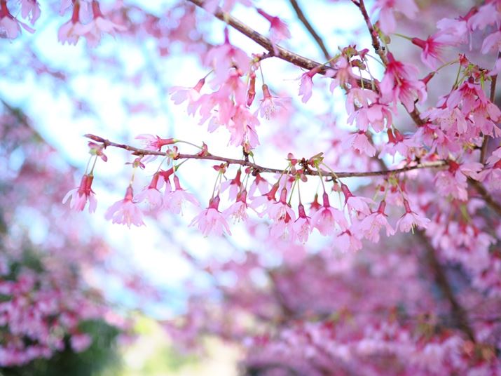 OM-3AM.ZUIKO DIGITAL 17mm F1.8 IIA17mmi35mmZ34mmjAF1.8A1/640bAISO200A+2.3EVAzCgoXFVAdオݒFCOLOR2inCCgF+3AVhEF-3ARgXgF-1j