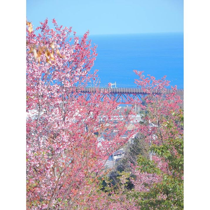 Ȃ킩ɂłA̓Sł͓C̓dԂĂ܂BЊg債ĂB掿Ȃł́IOM-3AM.ZUIKO DIGITAL ED 12-45mm F4.0 PROA45mmi35mmZ90mmjAF4A1/640bAISO200A+1.3EVAzCgoXFJX^i4600KjAdオݒFCOLOR4inCCgF-7AVhEF+6ARgXgF+1jBeʐ^i3888×5184A12.2MBj