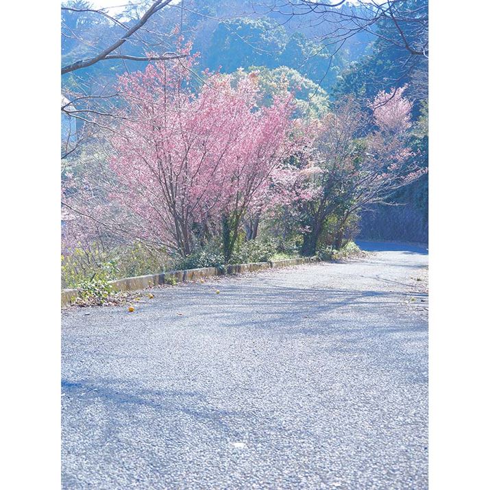 OM-3AM.ZUIKO DIGITAL ED 12-45mm F4.0 PROA25mmi35mmZ50mmjAF4A1/320bAISO200A+1.3EVAzCgoXFJX^i4600KjAdオݒFCOLOR4inCCgF-7AVhEF+6ARgXgF+1j