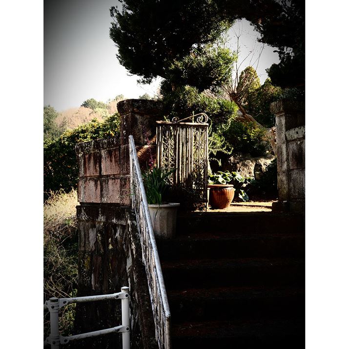 OM-3AM.ZUIKO DIGITAL ED 12-45mm F4.0 PROA29mmi35mmZ58mmjAF7.1A1/100bAISO200A-0.3EVAzCgoXFAAdオݒFCOLOR2inCCgF+5AVhEF-6AVF[fBOʁF-1ARgXgF+1j