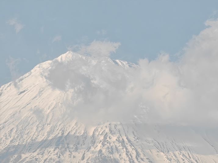 ő̔{ŎBesB𑜋ZpɂăfBe[⊮ĂA{̃fW^Y[Ƃ͎vȂʂ