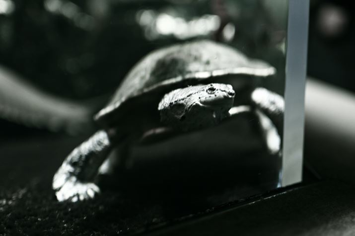 Z50IIANIKKOR Z 35mm f/1.4A35mmi35mmZ52.5mmjA}jAAF1.4A1/250bAISO1250A-0.3EVAzCgoXFI[gAsN`[Rg[Fu[`