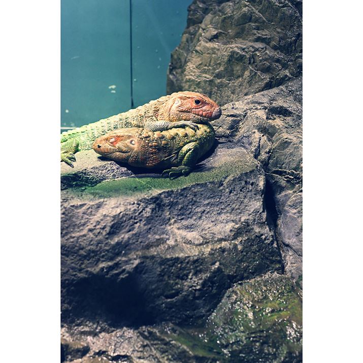 Z50IIANIKKOR Z 35mm f/1.4A35mmi35mmZ52.5mmjA}jAAF3.5A1/250bAISO2500A-0.3EVAzCgoXFI[gAsN`[Rg[FgC