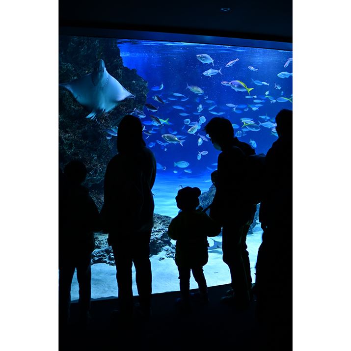 傫Ȑł͌ĂlVGbgɂĎB̂B̓NQ̐ȂǂłZ50IIANIKKOR Z 35mm f/1.4A35mmi35mmZ52.5mmjAVb^[DI[gAF1.4A1/250bAISO360A-1.0EVAzCgoXFFuAsN`[Rg[Frrbh