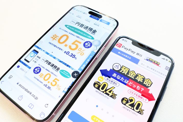 PayPaysƂsBankʗaグI